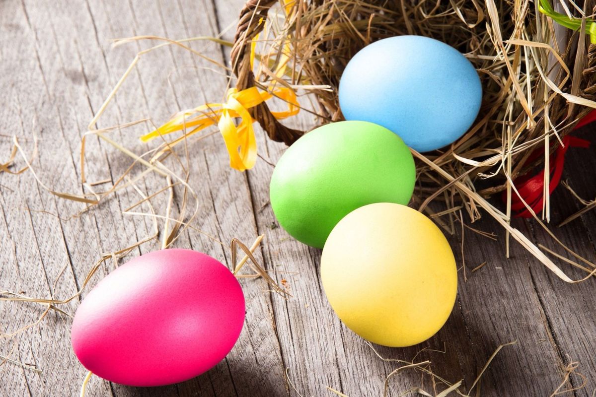 Offerta Pasqua 2026 Hotel Levante Cesenatico